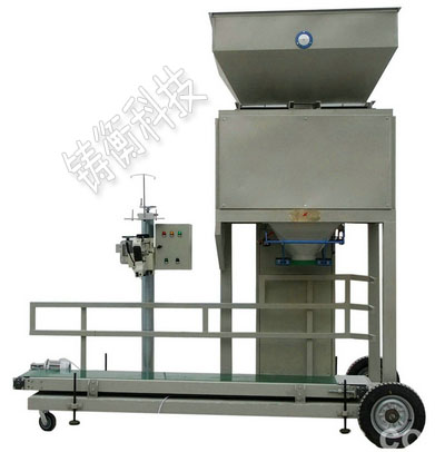 �w���������b�C