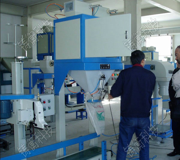 復(fù)合肥包裝秤