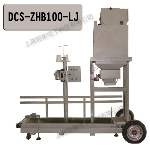 雙斗單頭定量包裝秤
